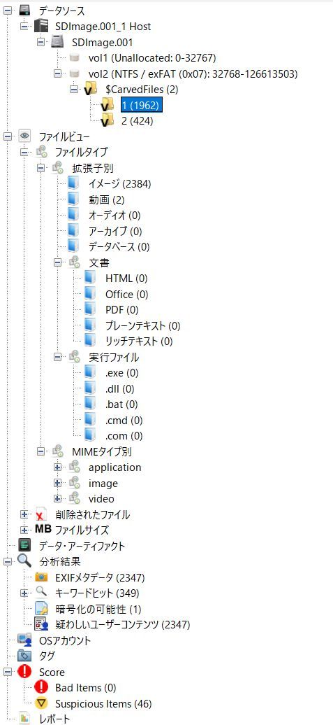 Autopsy file type view showing recovered image categories from the disk image