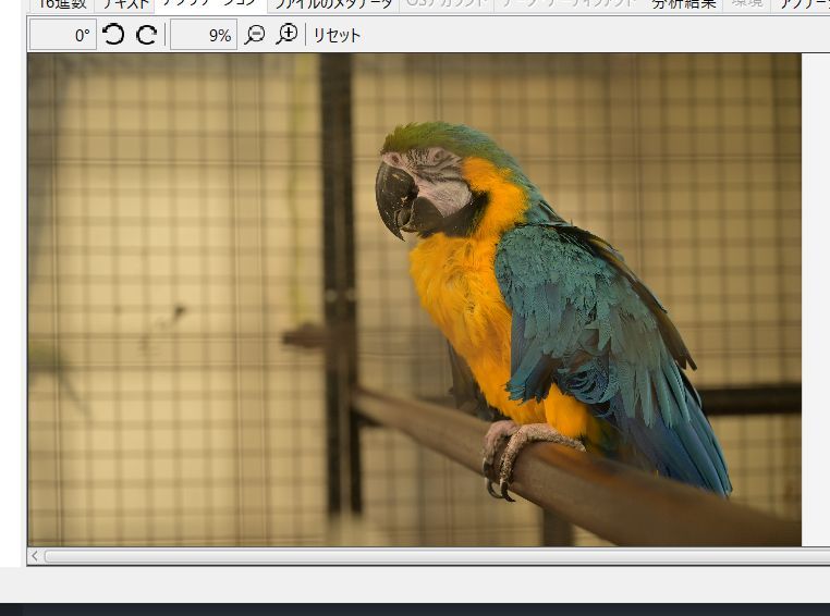 Autopsy preview displaying a recovered photo from the SD card image